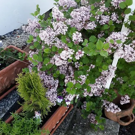 Kandelblick Апартаменты Тенинген