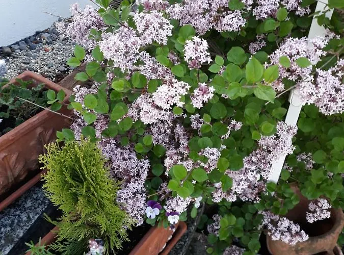 Kandelblick Apartman Teningen